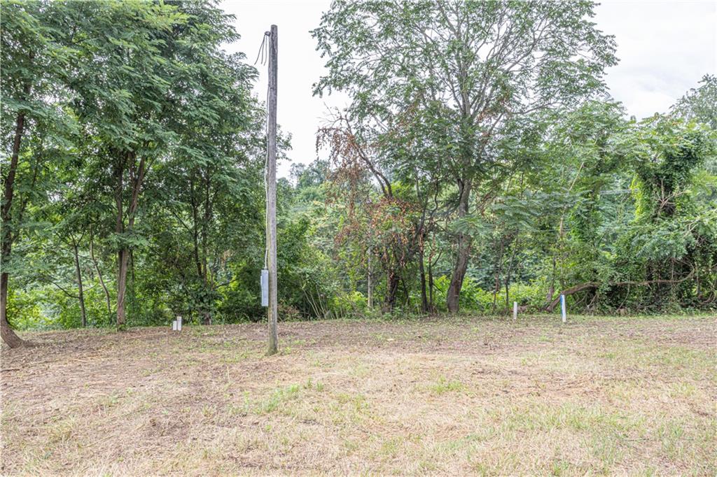 0 Taft Avenue Uniontown, PA 15401 - Photo 4 of 4 a backyard of a house with lots of trees