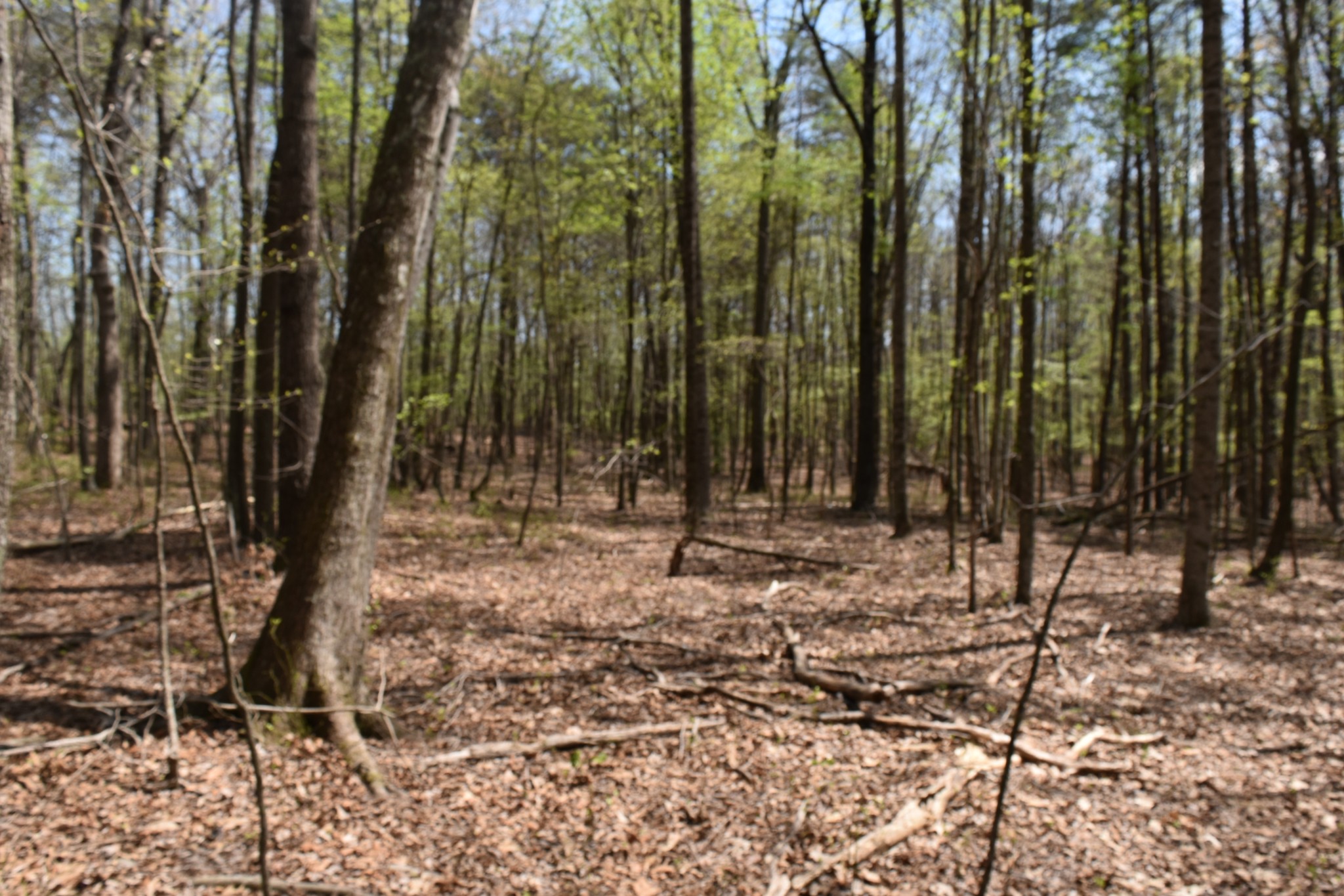 362 Haynes Road Sewanee, TN 37375 - Photo 11 of 28