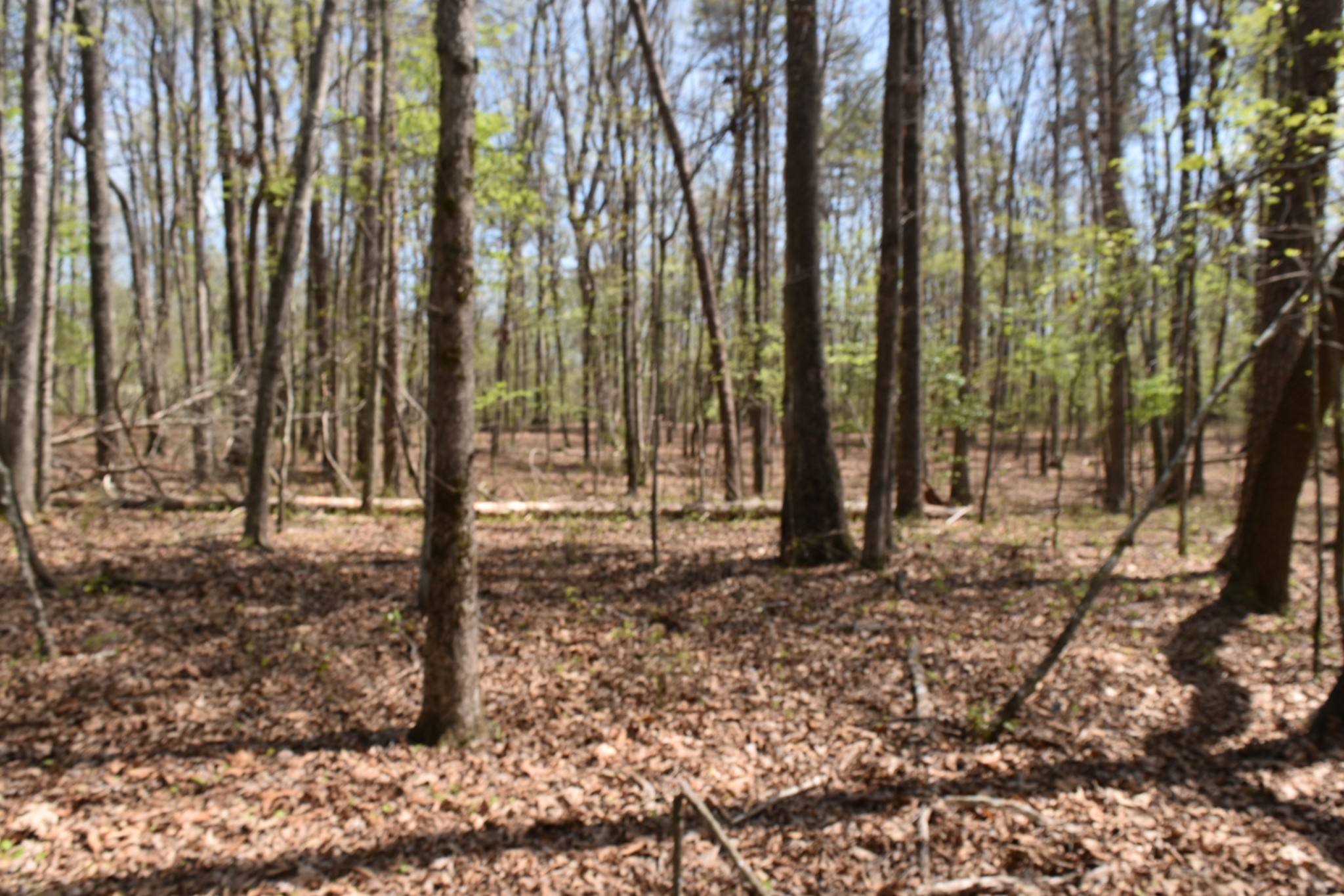 362 Haynes Road Sewanee, TN 37375 - Photo 13 of 28