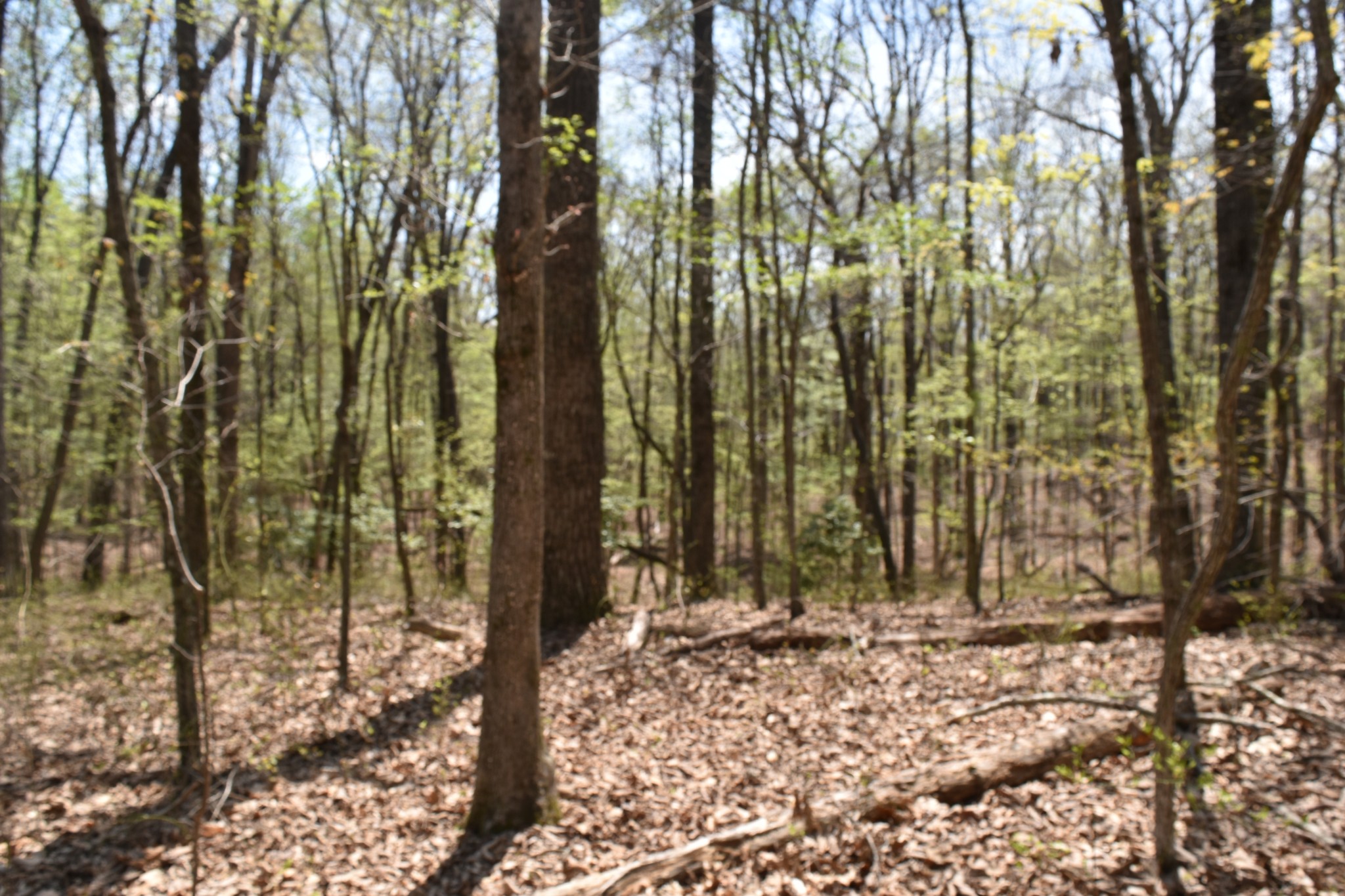 362 Haynes Road Sewanee, TN 37375 - Photo 17 of 28