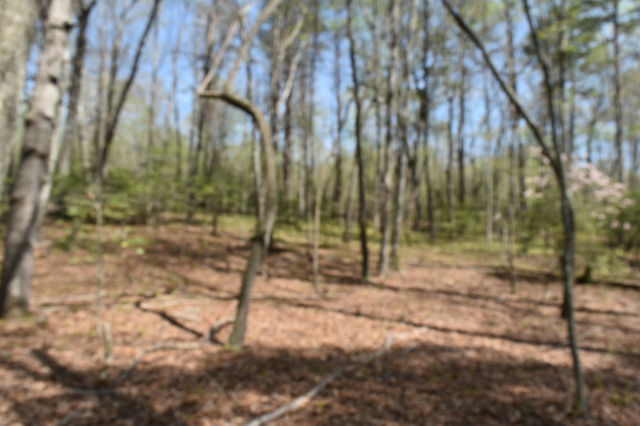 362 Haynes Road Sewanee, TN 37375 - Photo 19 of 28