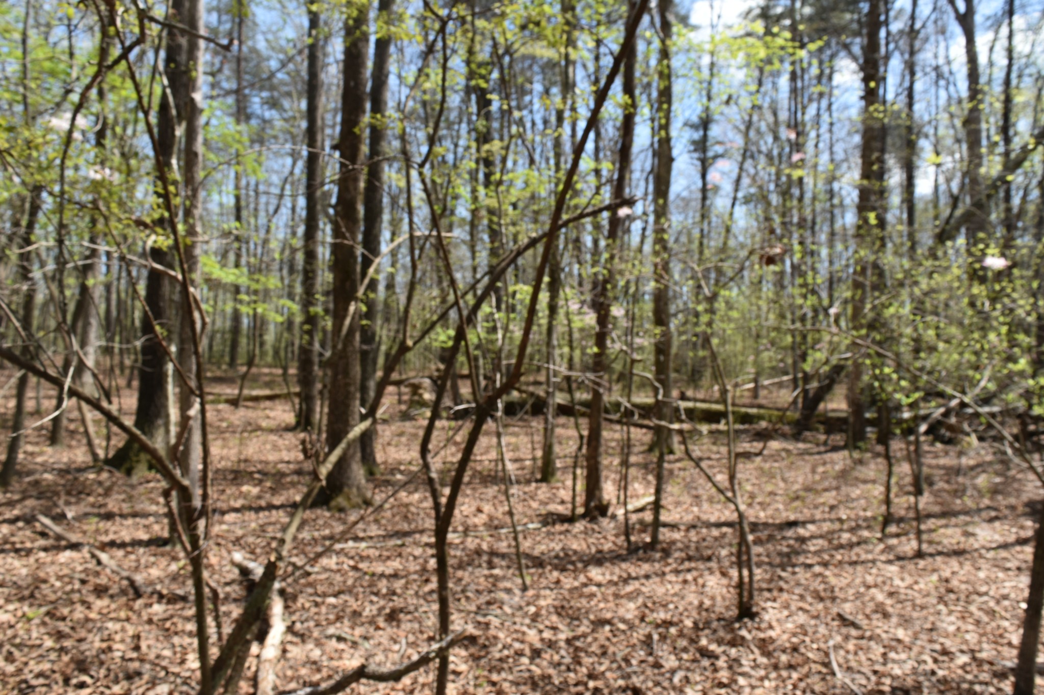 362 Haynes Road Sewanee, TN 37375 - Photo 20 of 28