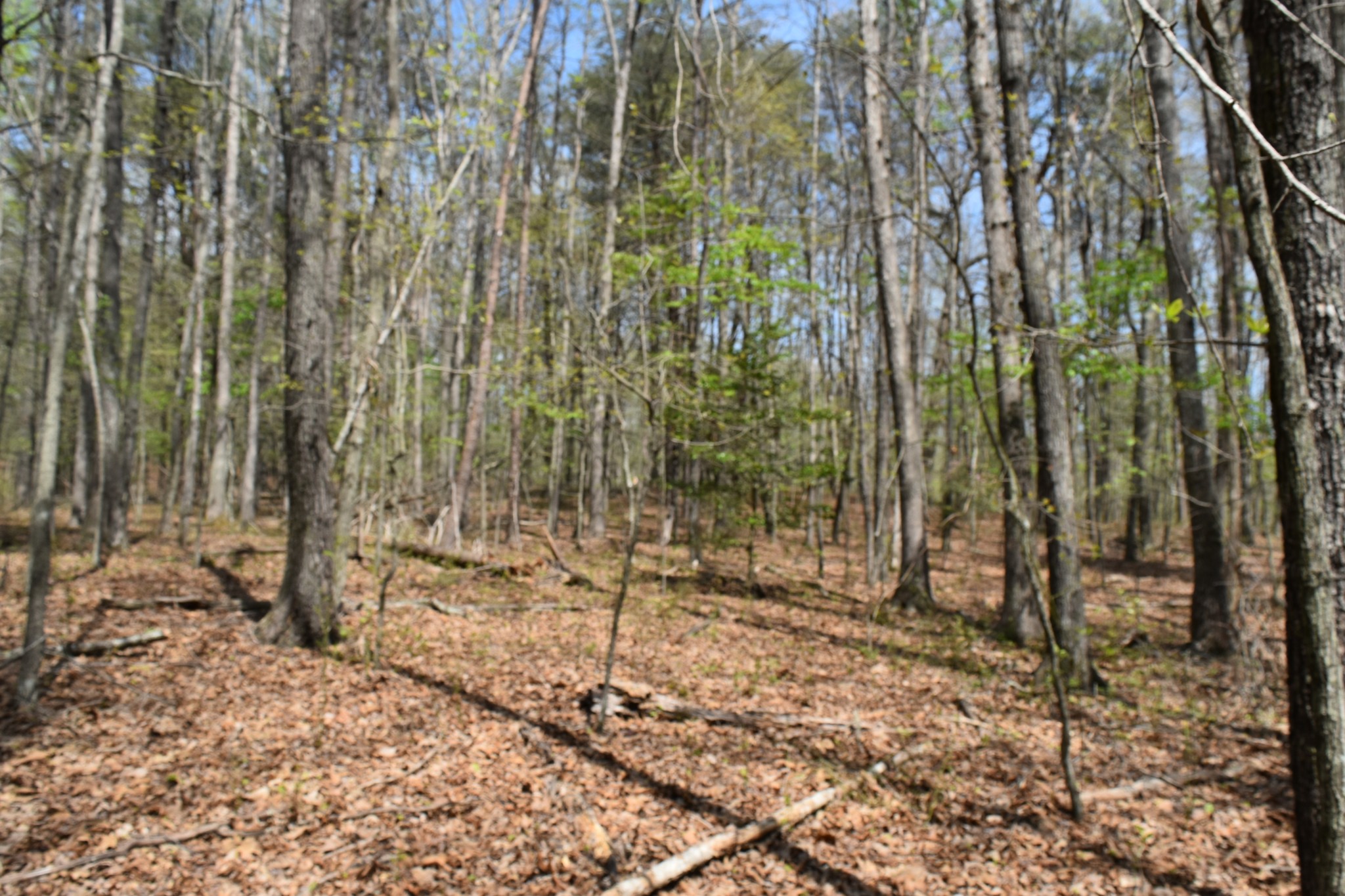 362 Haynes Road Sewanee, TN 37375 - Photo 21 of 28