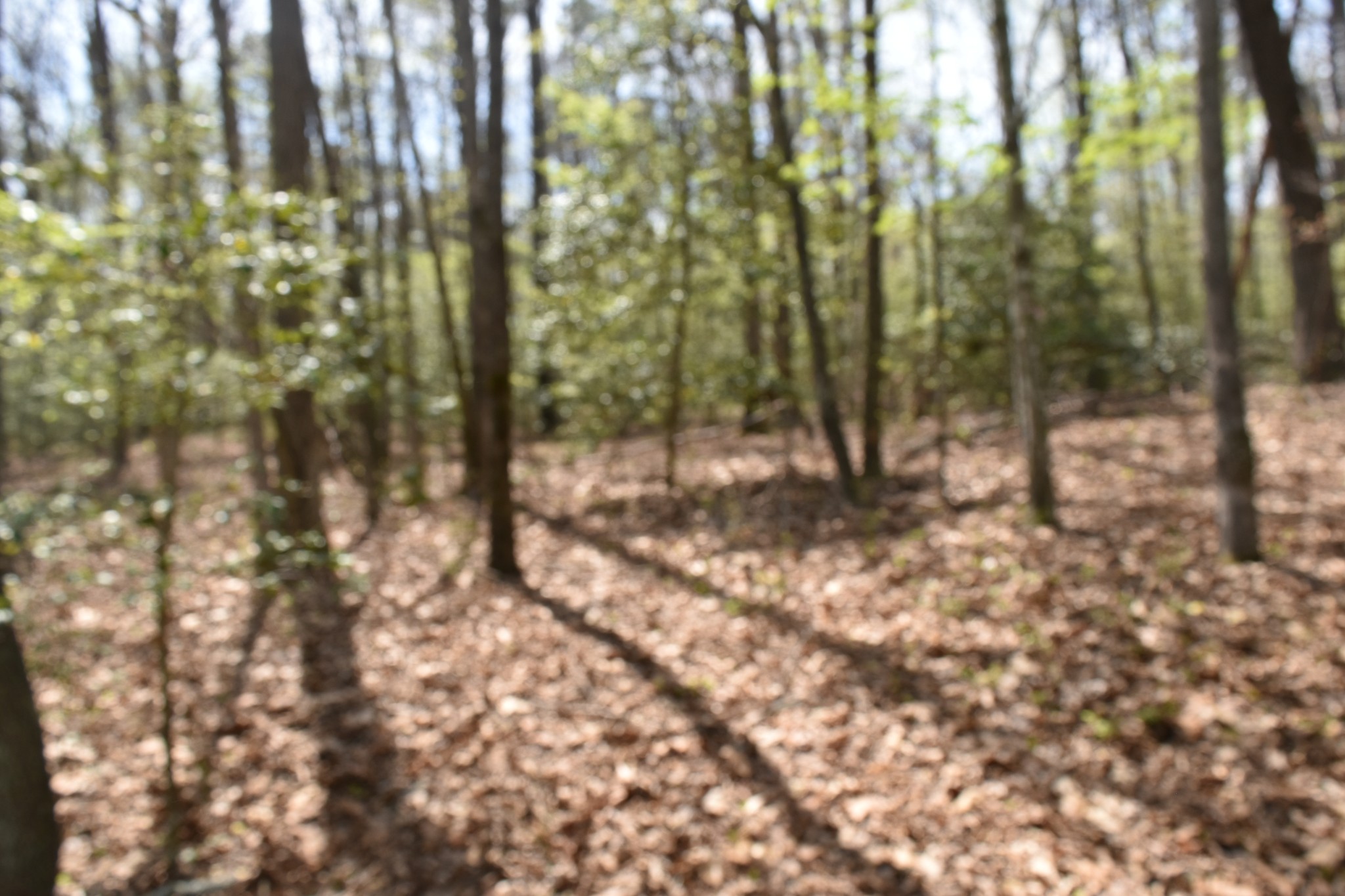 362 Haynes Road Sewanee, TN 37375 - Photo 22 of 28