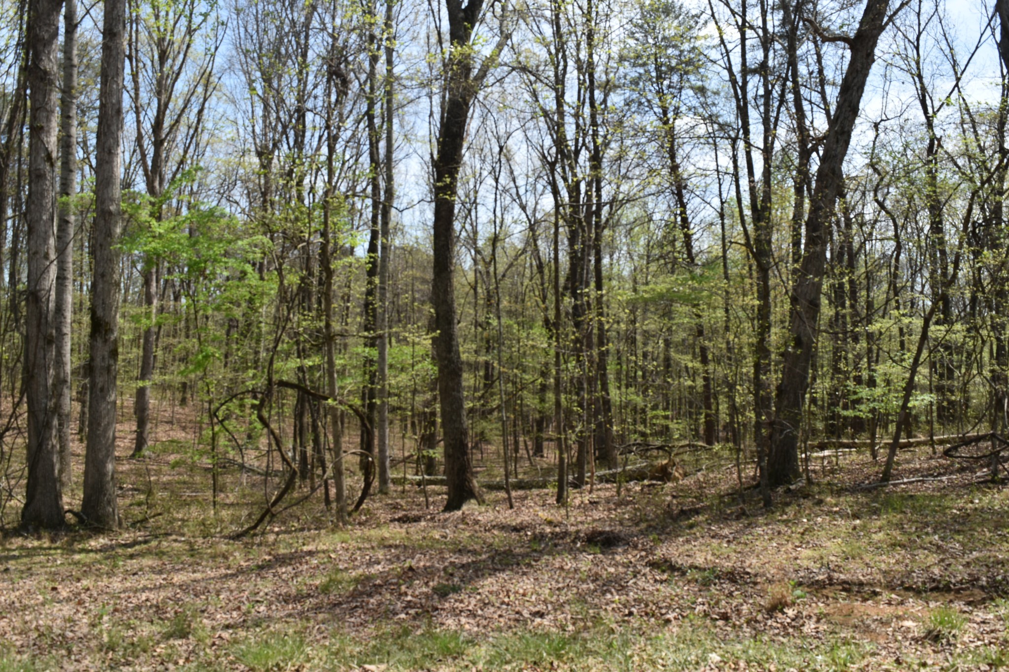 362 Haynes Road Sewanee, TN 37375 - Photo 24 of 28