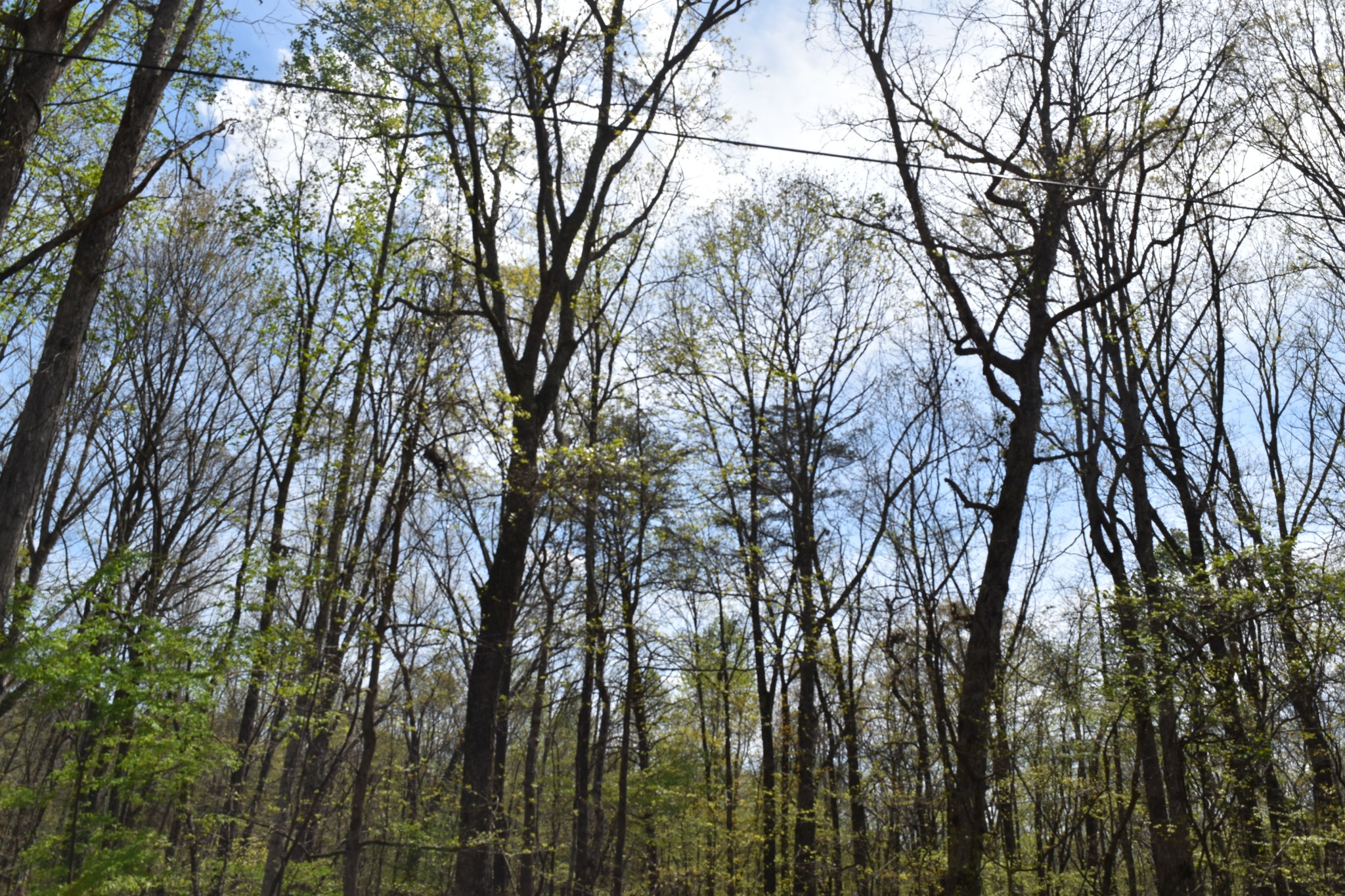 362 Haynes Road Sewanee, TN 37375 - Photo 26 of 28