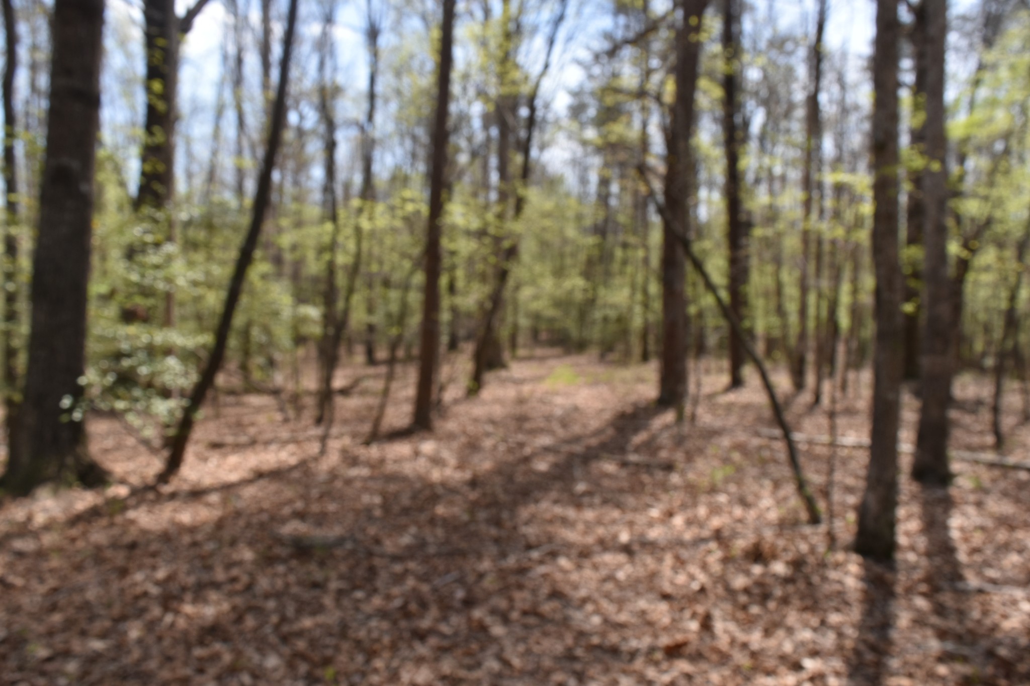 362 Haynes Road Sewanee, TN 37375 - Photo 27 of 28