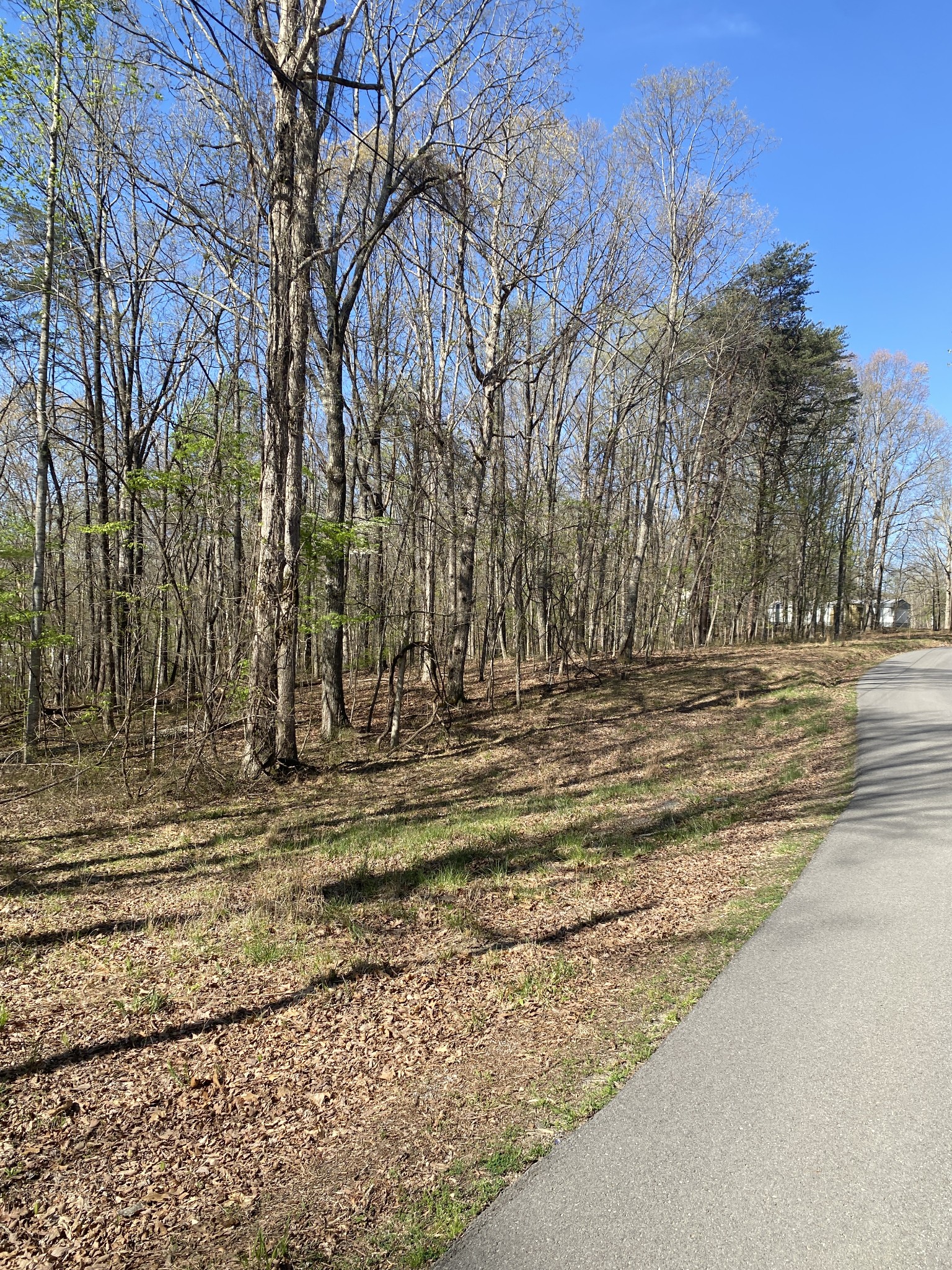 362 Haynes Road Sewanee, TN 37375 - Photo 3 of 28