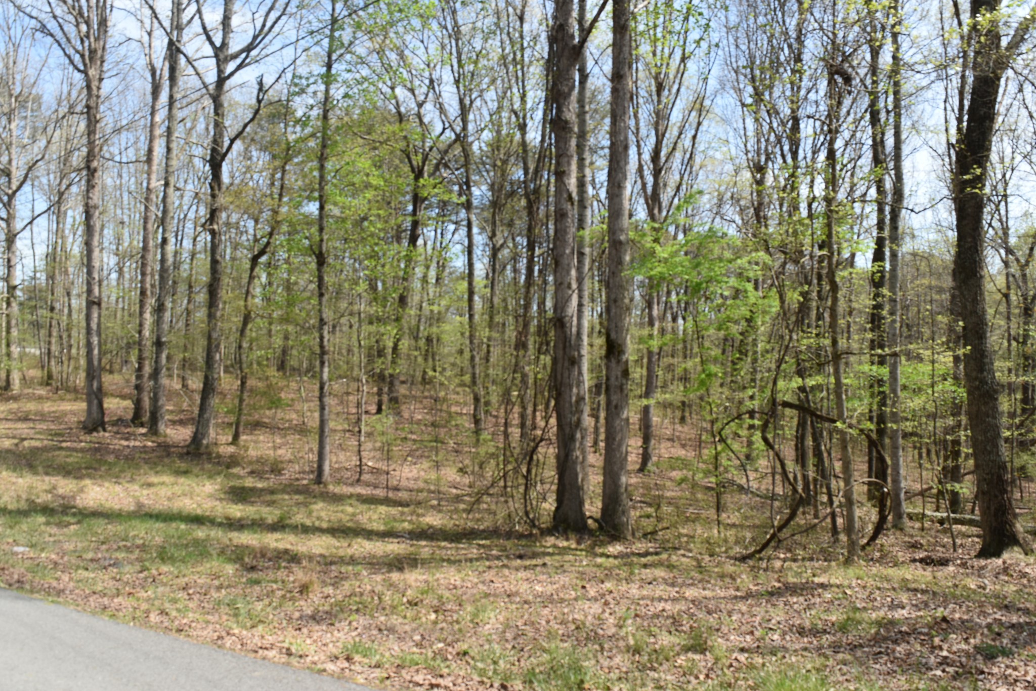 362 Haynes Road Sewanee, TN 37375 - Photo 4 of 28