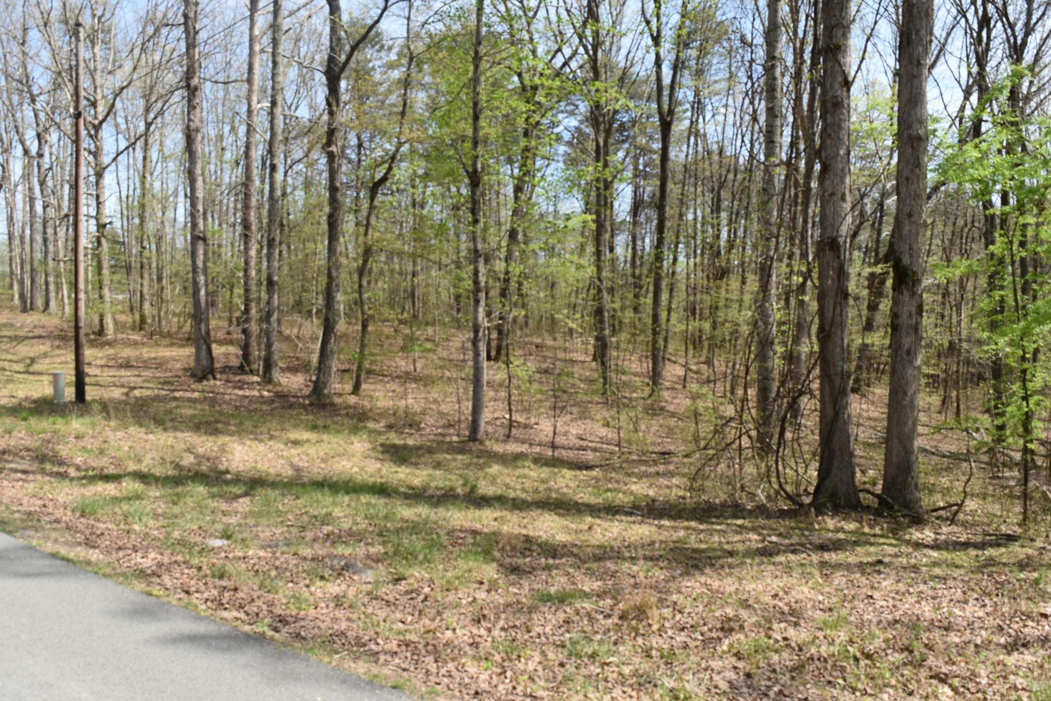 362 Haynes Road Sewanee, TN 37375 - Photo 5 of 28