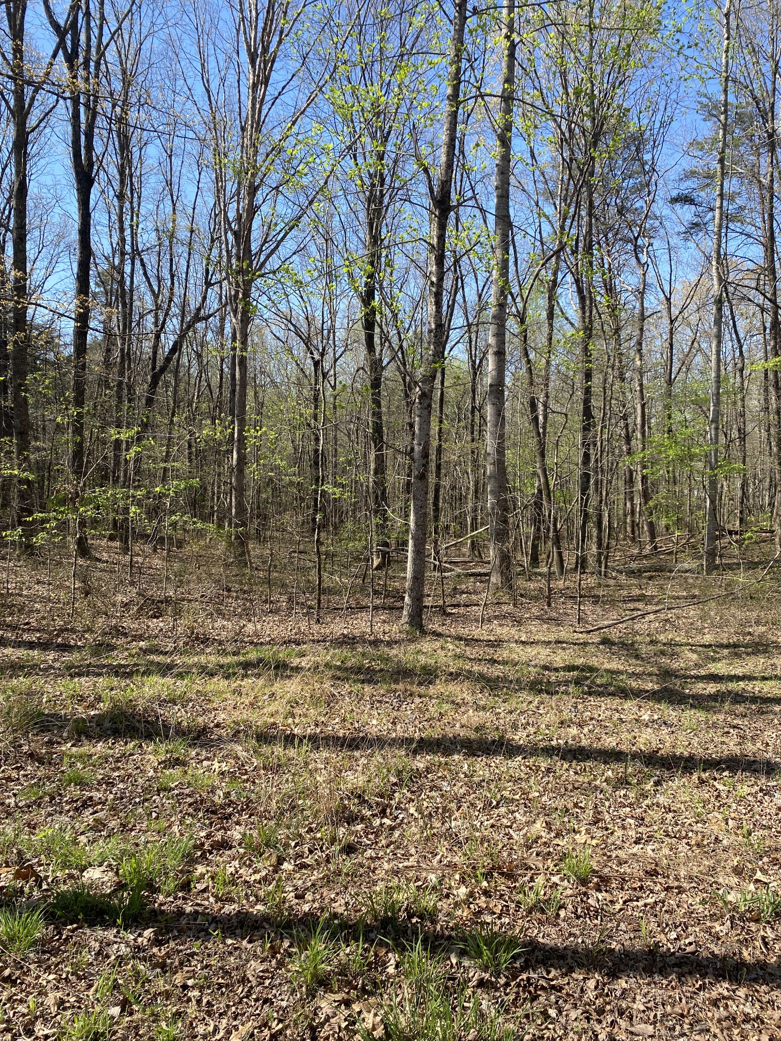 362 Haynes Road Sewanee, TN 37375 - Photo 7 of 28