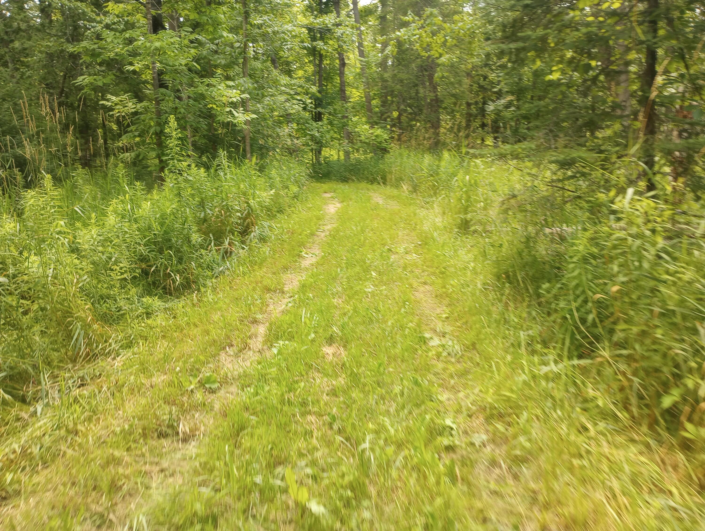Precour Road Alpena, MI 49707 - Photo 17 of 21 Gallery Image 17