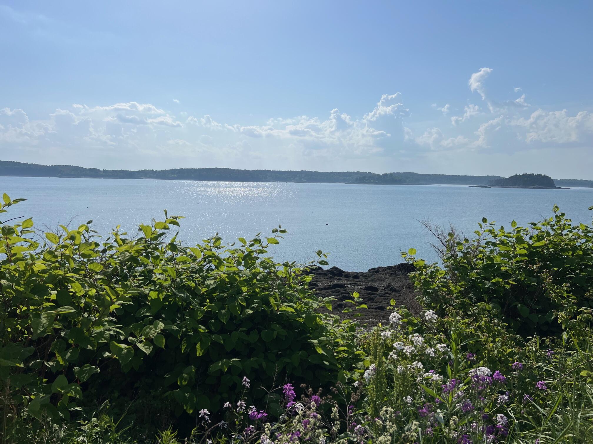 15 Map Street Lubec, ME 04652 - Photo 7 of 15 7