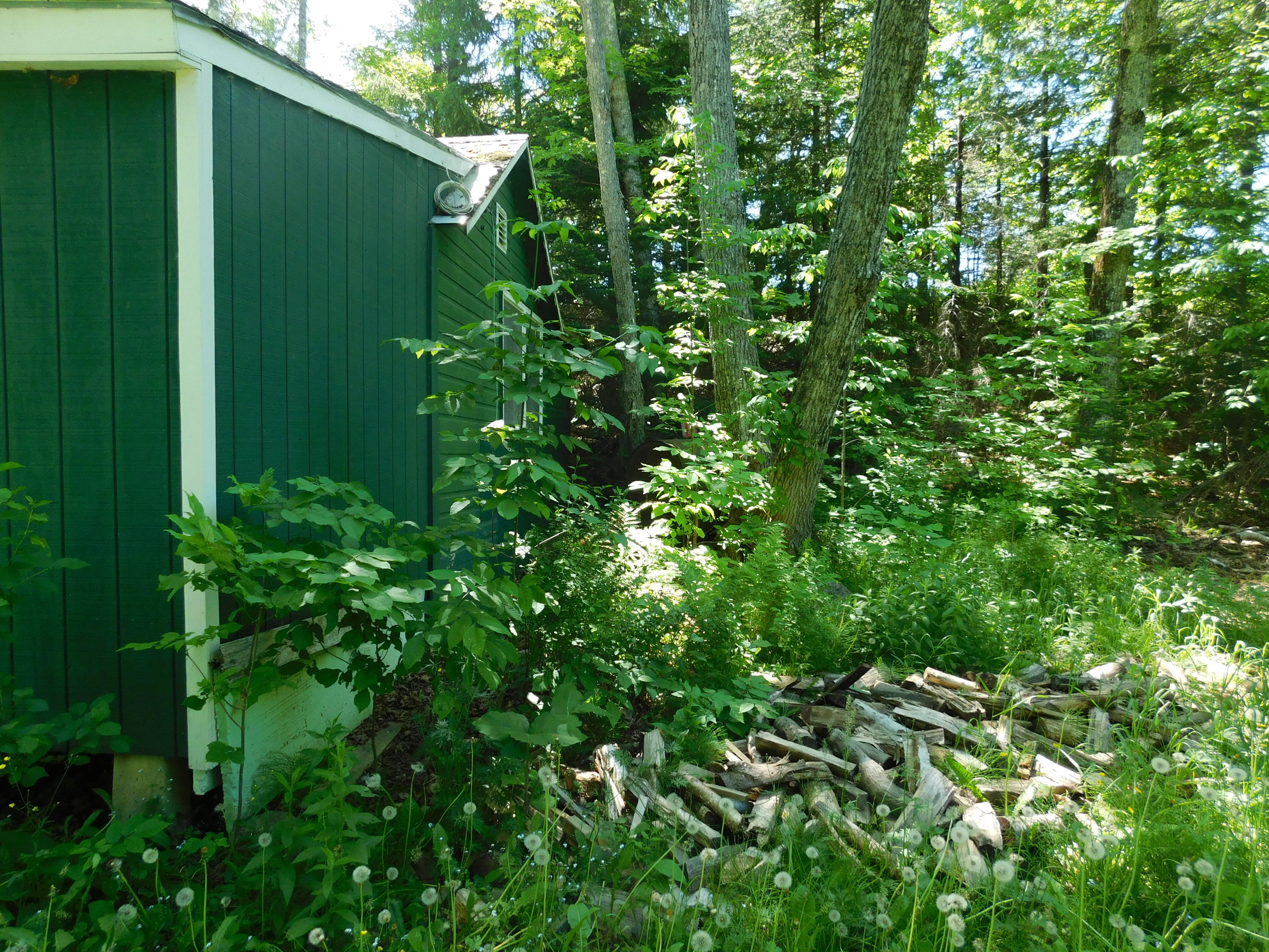 12 Wapiti Road Mount Chase, ME 04765 - Photo 16 of 26 DSCN0124