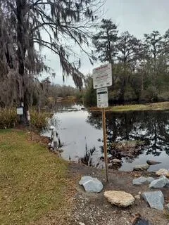 $15,000 | Lot 208 Prices Bridge Lane, Walterboro, SC 29488