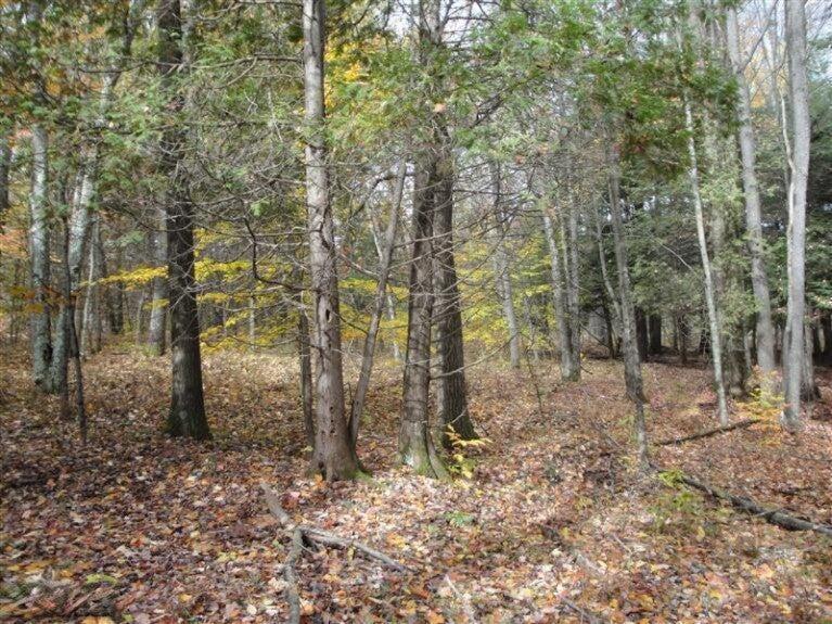 North Ruth Drive Branch, MI 49402 - Photo 1 of 7 Lot 61