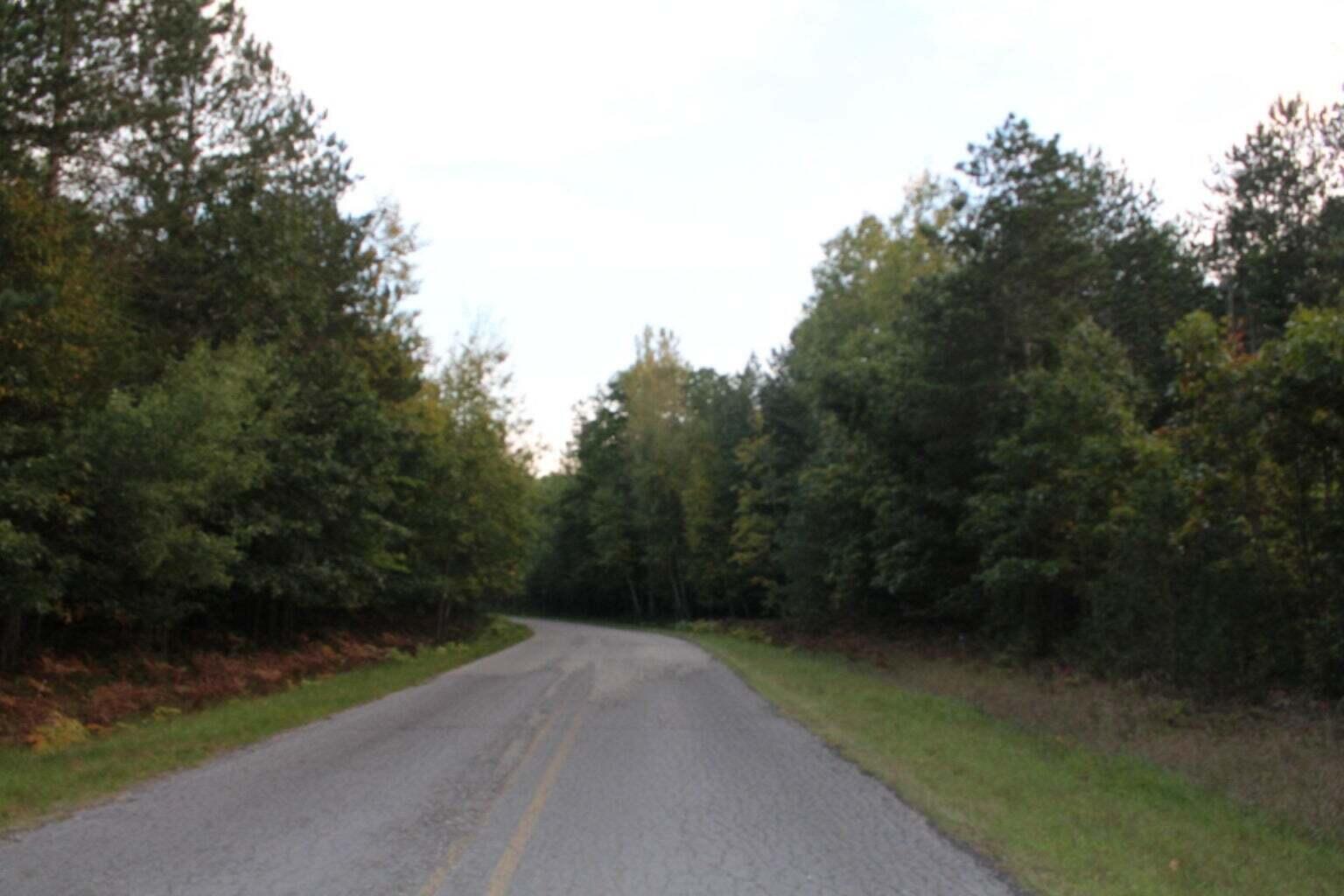 North Ruth Drive Branch, MI 49402 - Photo 2 of 7 Lot 61 (b)
