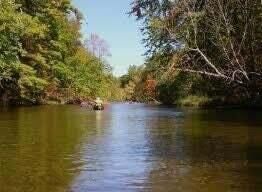 North Ruth Drive Branch, MI 49402 - Photo 3 of 7 Lot 61 river shot