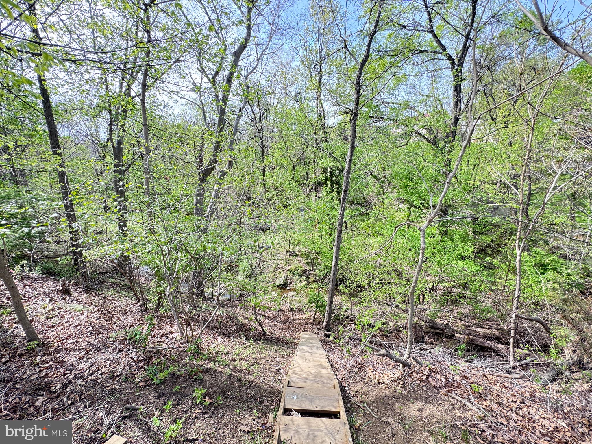 505 4th Avenue Brunswick, MD 21716 - Photo 41 of 54