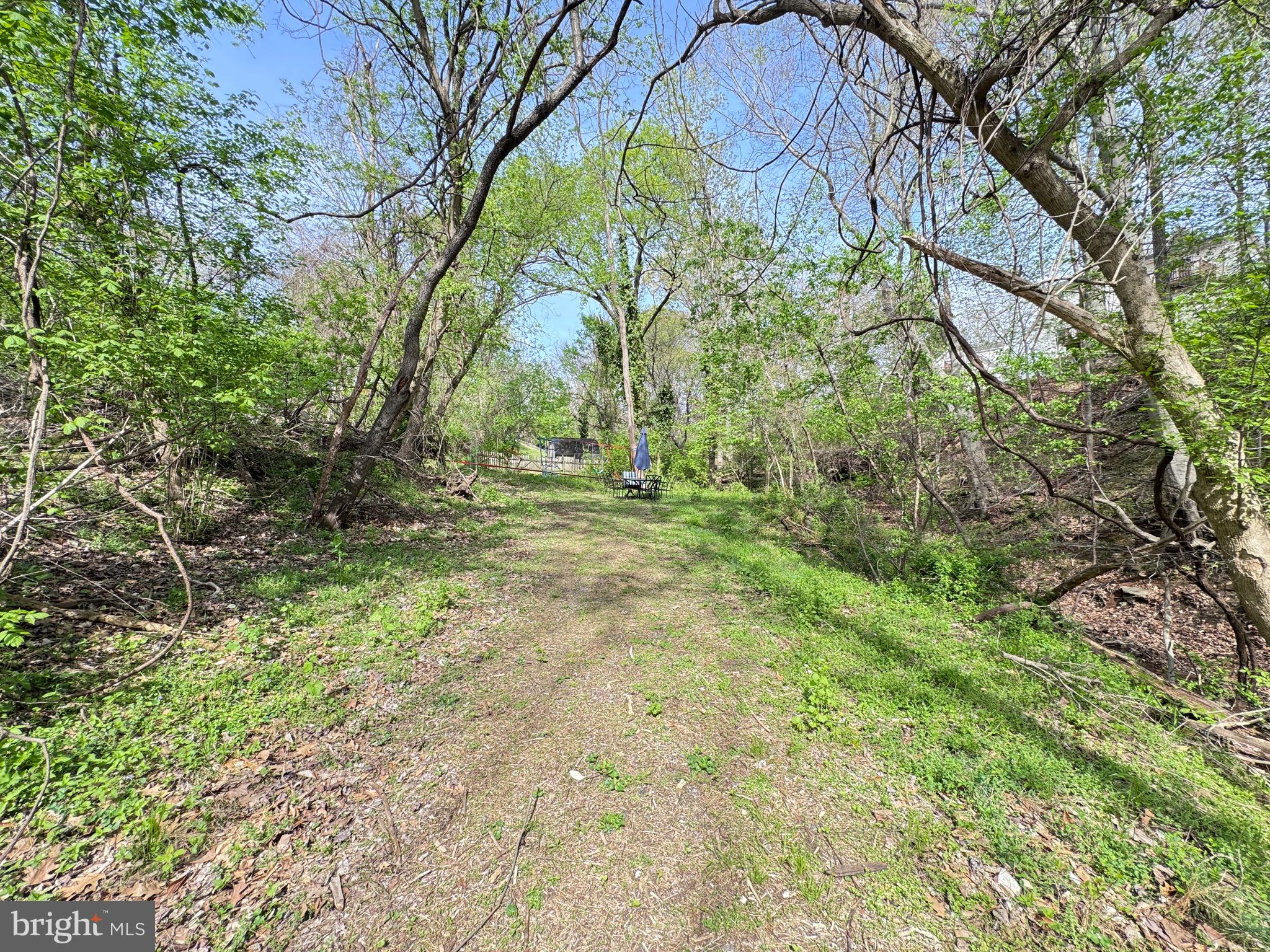 505 4th Avenue Brunswick, MD 21716 - Photo 43 of 54