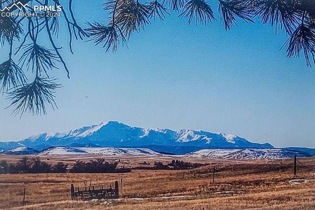 6597 Highway 83 Franktown, CO 80116 - Photo 14 of 48 a view of a house with a yard