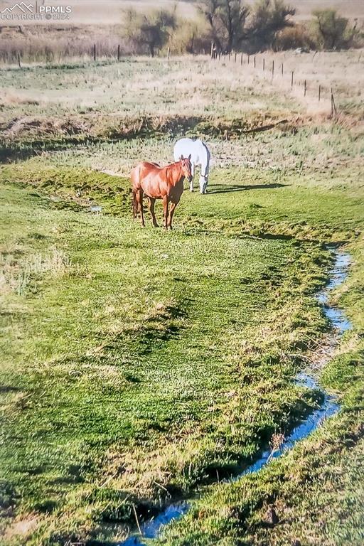 6597 Highway 83 Franktown, CO 80116 - Photo 15 of 48 a view of ocean view with beach