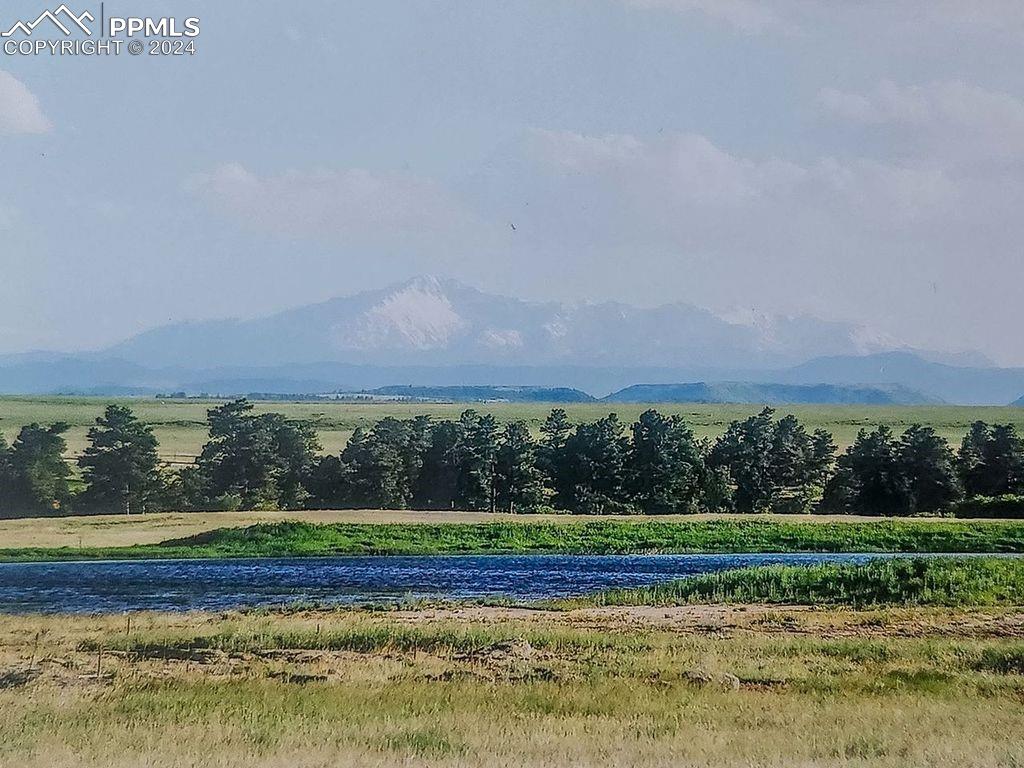 6597 Highway 83 Franktown, CO 80116 - Photo 37 of 48 a view of a big yard and large trees
