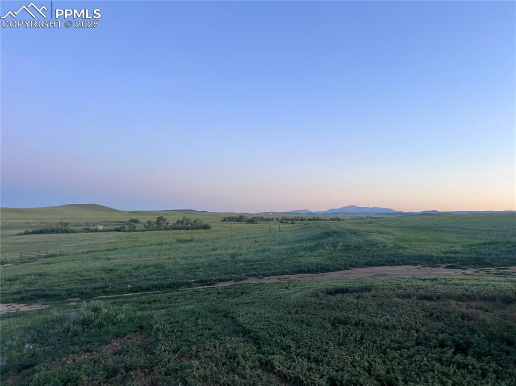 6597 Highway 83 Franktown, CO 80116 - Photo 42 of 48 a view of a field with a tree in the background