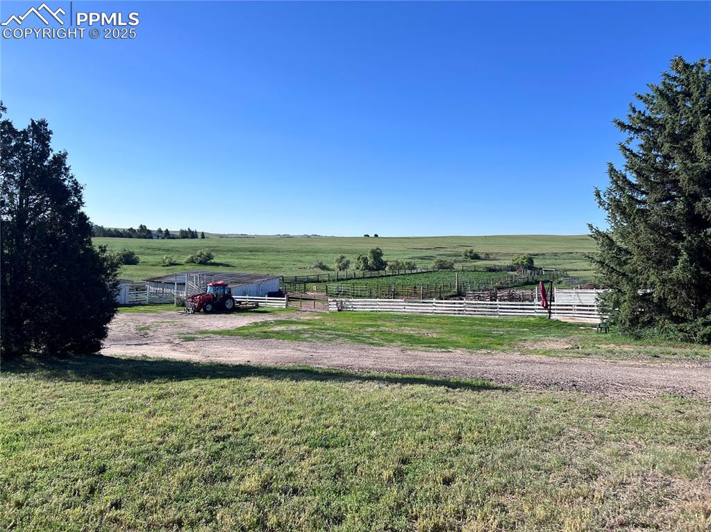 6597 Highway 83 Franktown, CO 80116 - Photo 45 of 48 a view of a yard with an outdoor space