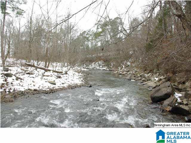 33 County Road, Unit 48 Oneonta, AL 35121 - Photo 19 of 33