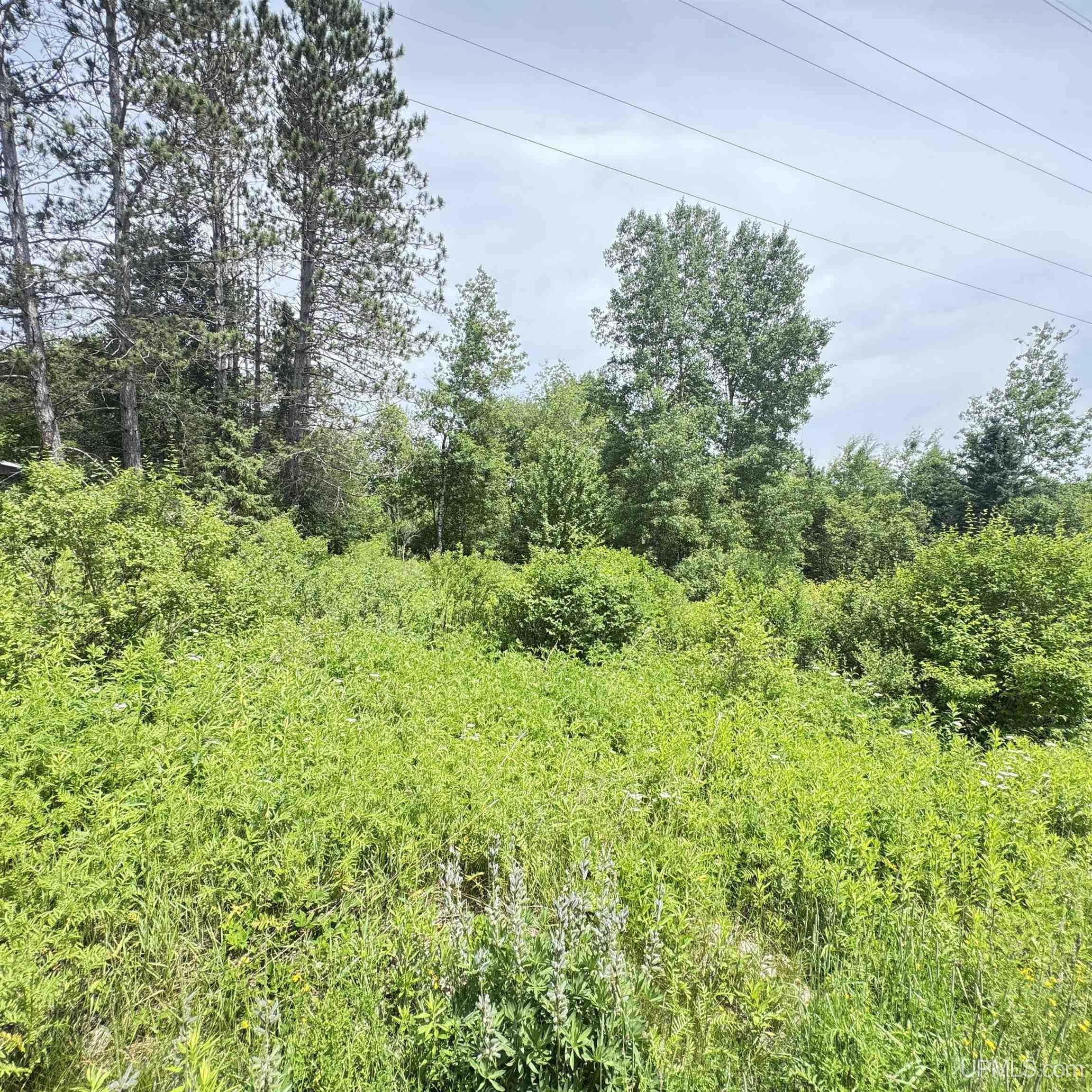 1669 Kofmehl Road Iron River, MI 49935 - Photo 42 of 49
