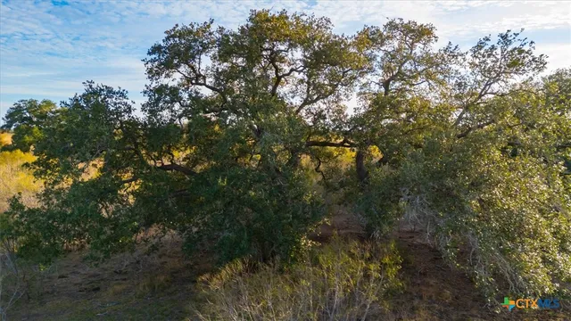 a view of an outdoor space with seating area