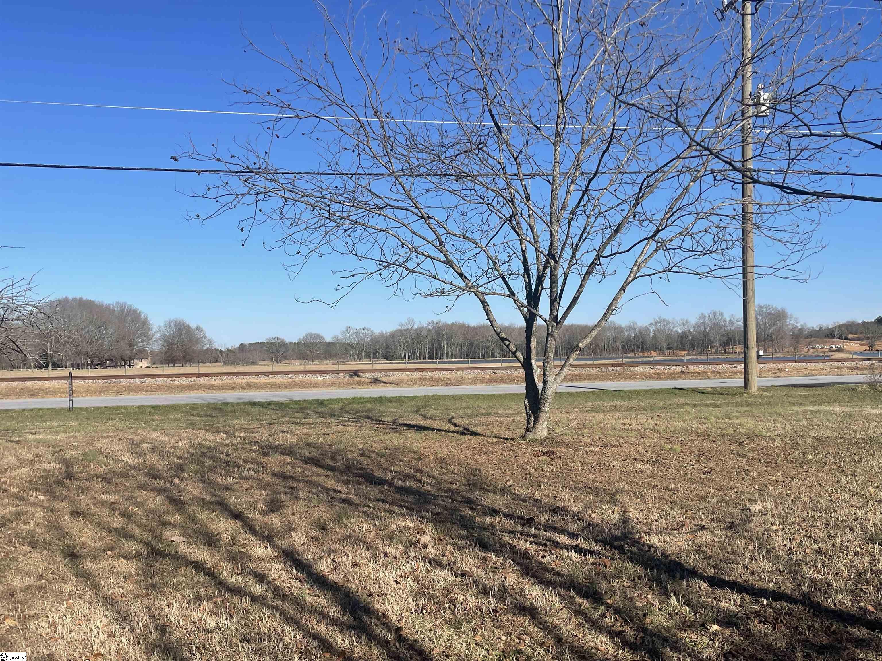 5150 North Old Laurens Road Gray Court, SC 29645 - Photo 2 of 2