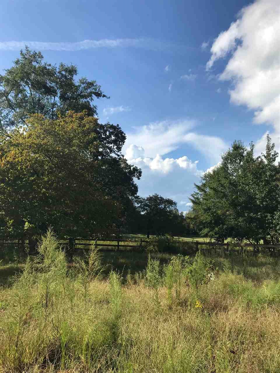 415 Farmer Road Campobello, SC 29322 - Photo 8 of 8