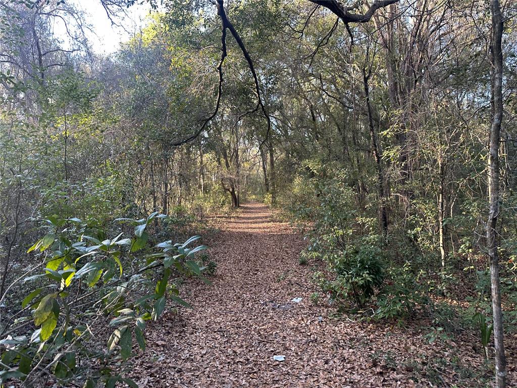 Thomas Avenue Leesburg, FL 34748 - Photo 2 of 4 a backyard of a house with lots of green space