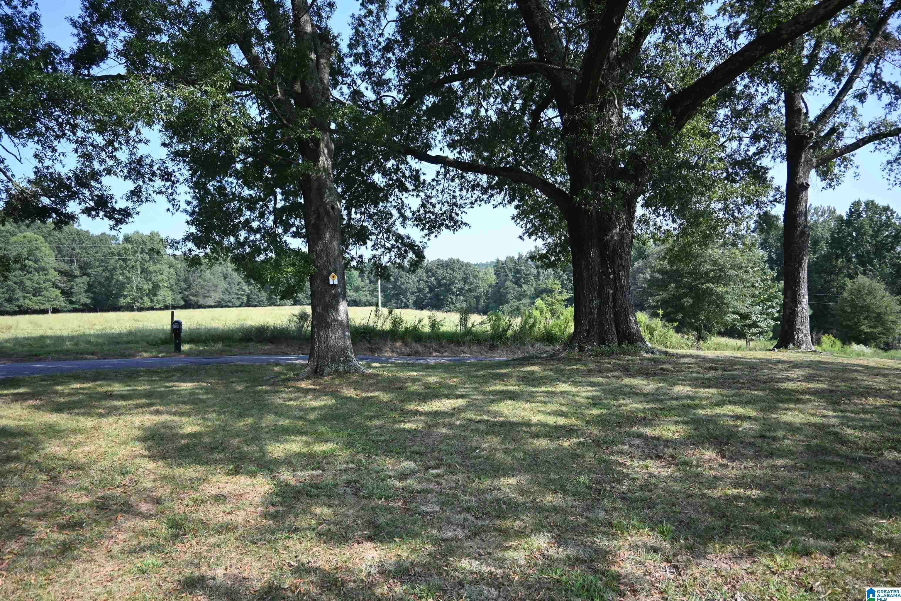 1401 County Road 844 Logan, AL 35098 - Photo 24 of 34