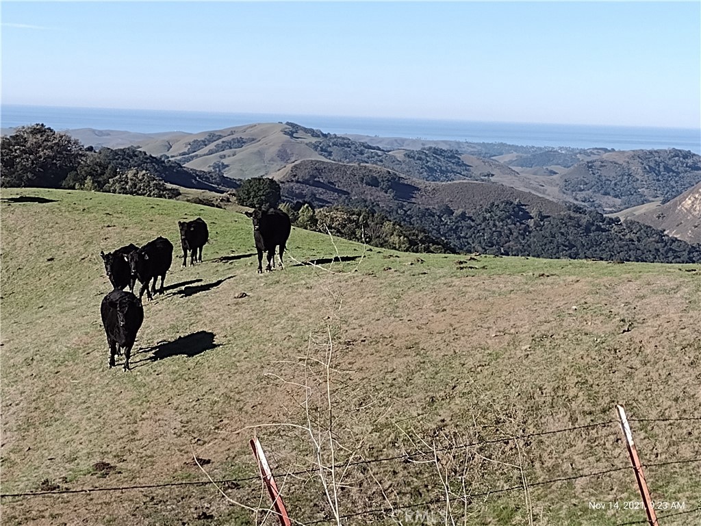9500 Santa Rosa Creek Road Cambria, CA 93428 - Photo 2 of 33 Distant Ocean Views