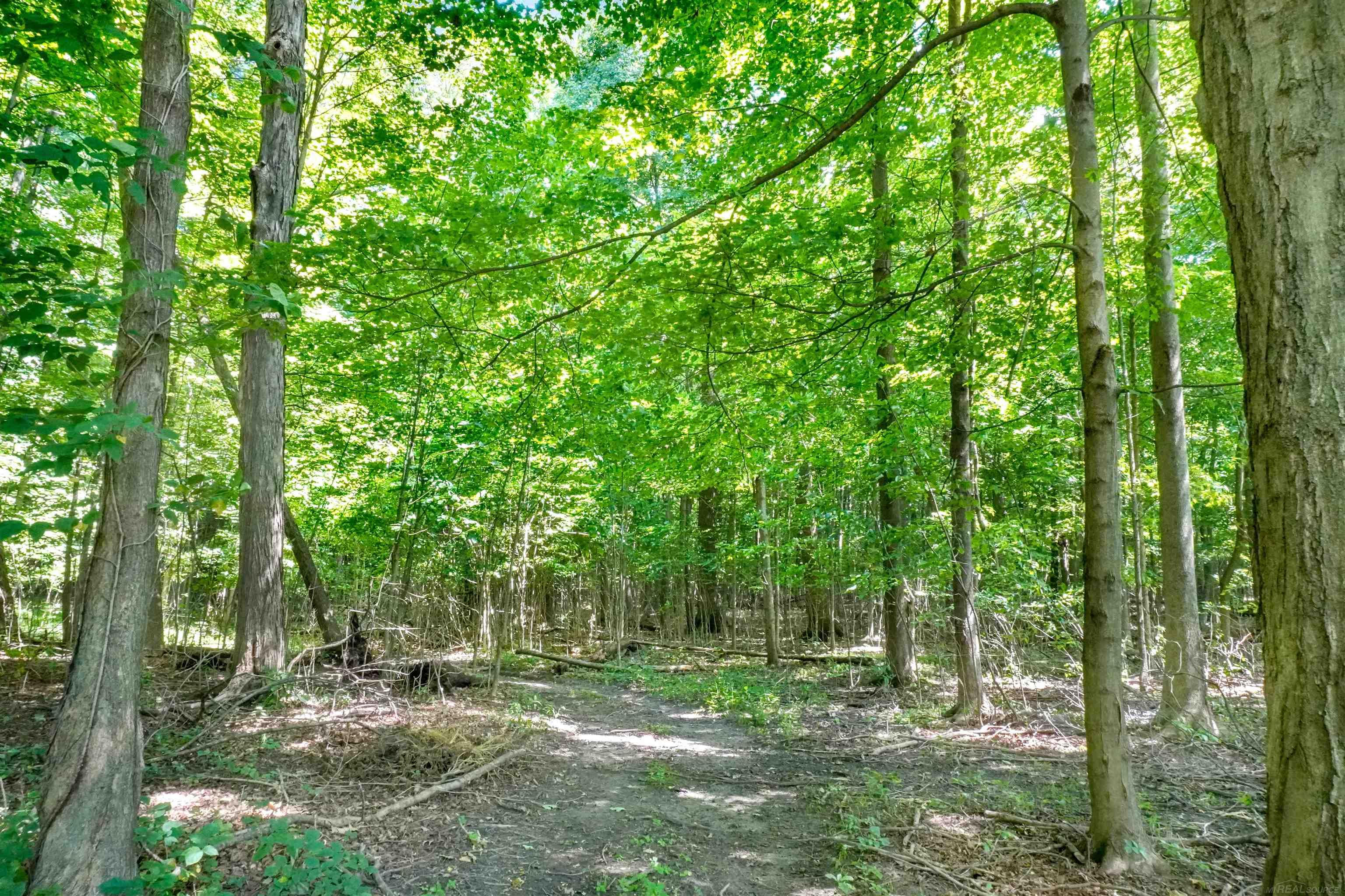 3237 Muir Road Dryden, MI 48428 - Photo 48 of 57