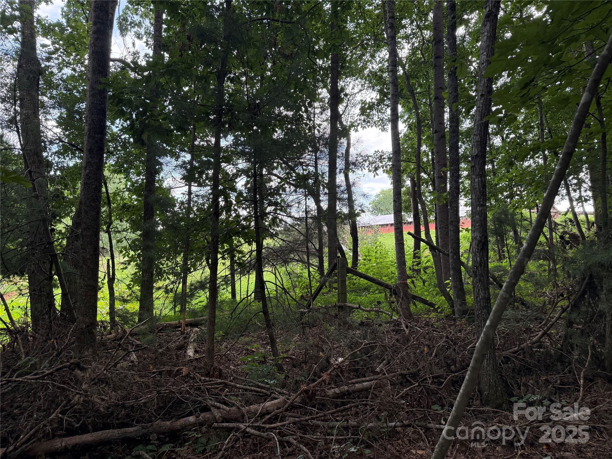 3994 Seitz Road Morganton, NC 28655 - Photo 8 of 9