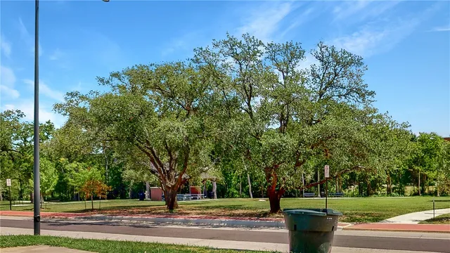a view of a yard with large trees