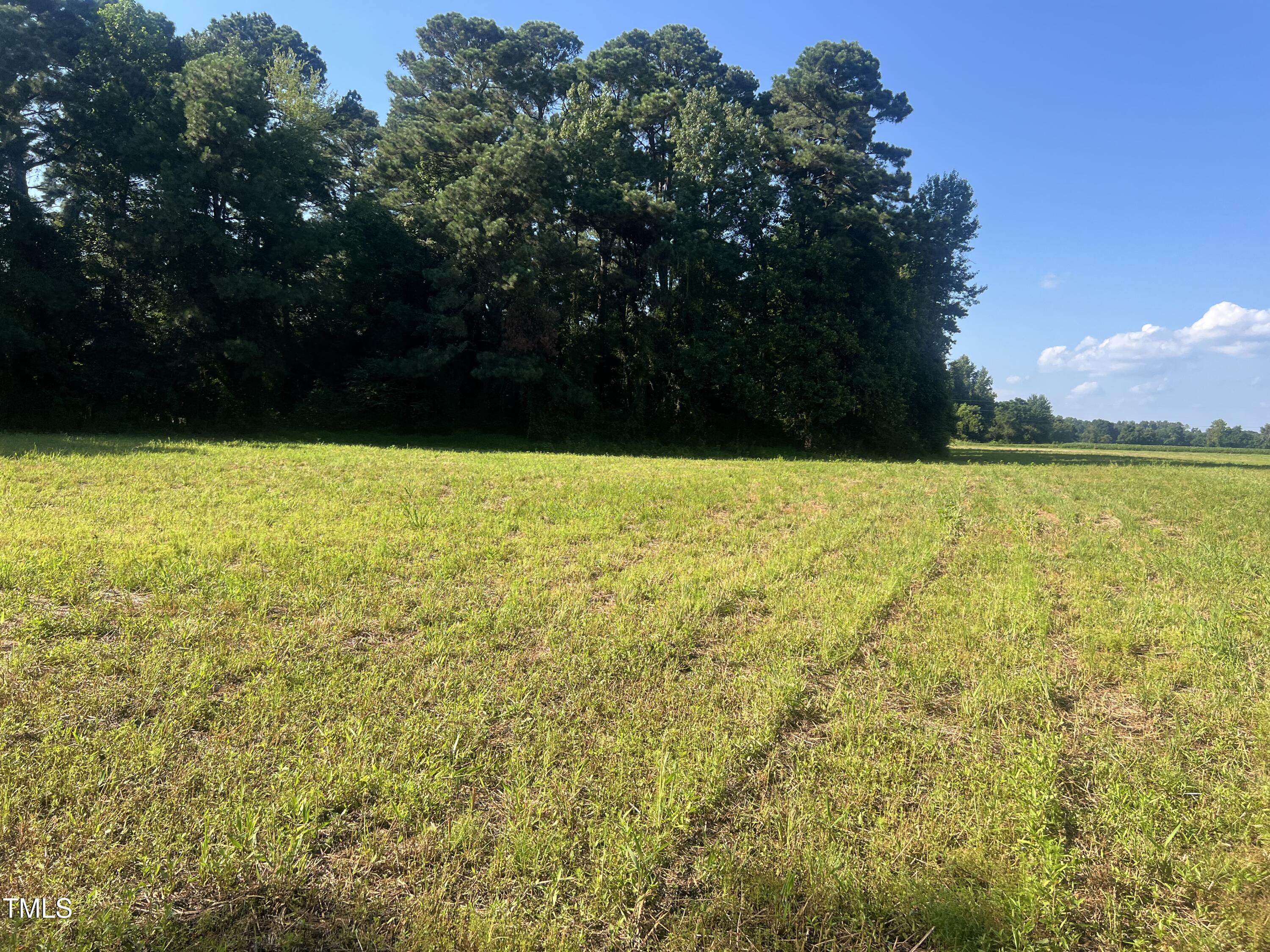 220 Brinkley Road Dunn, NC 28334 - Photo 7 of 13 a view of an ocean from a yard