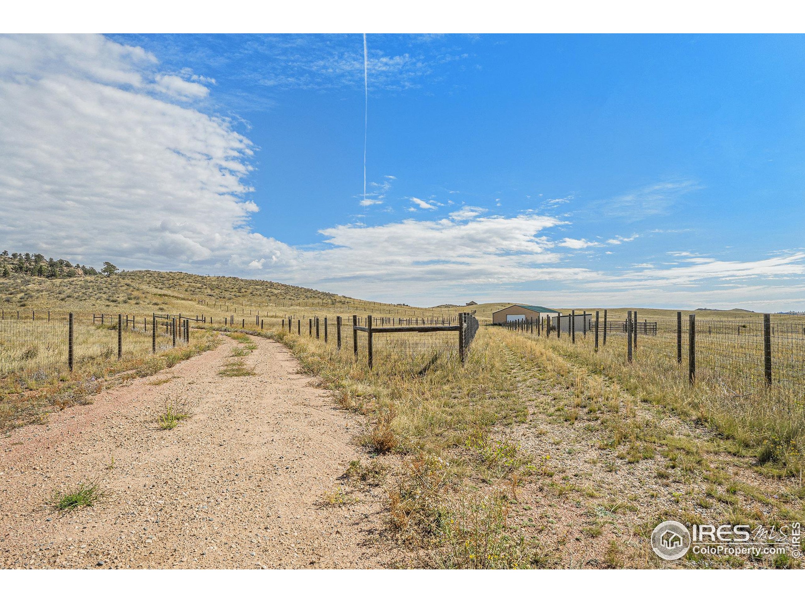 2052 Great Twins Road Livermore, CO 80536 - Photo 13 of 41
