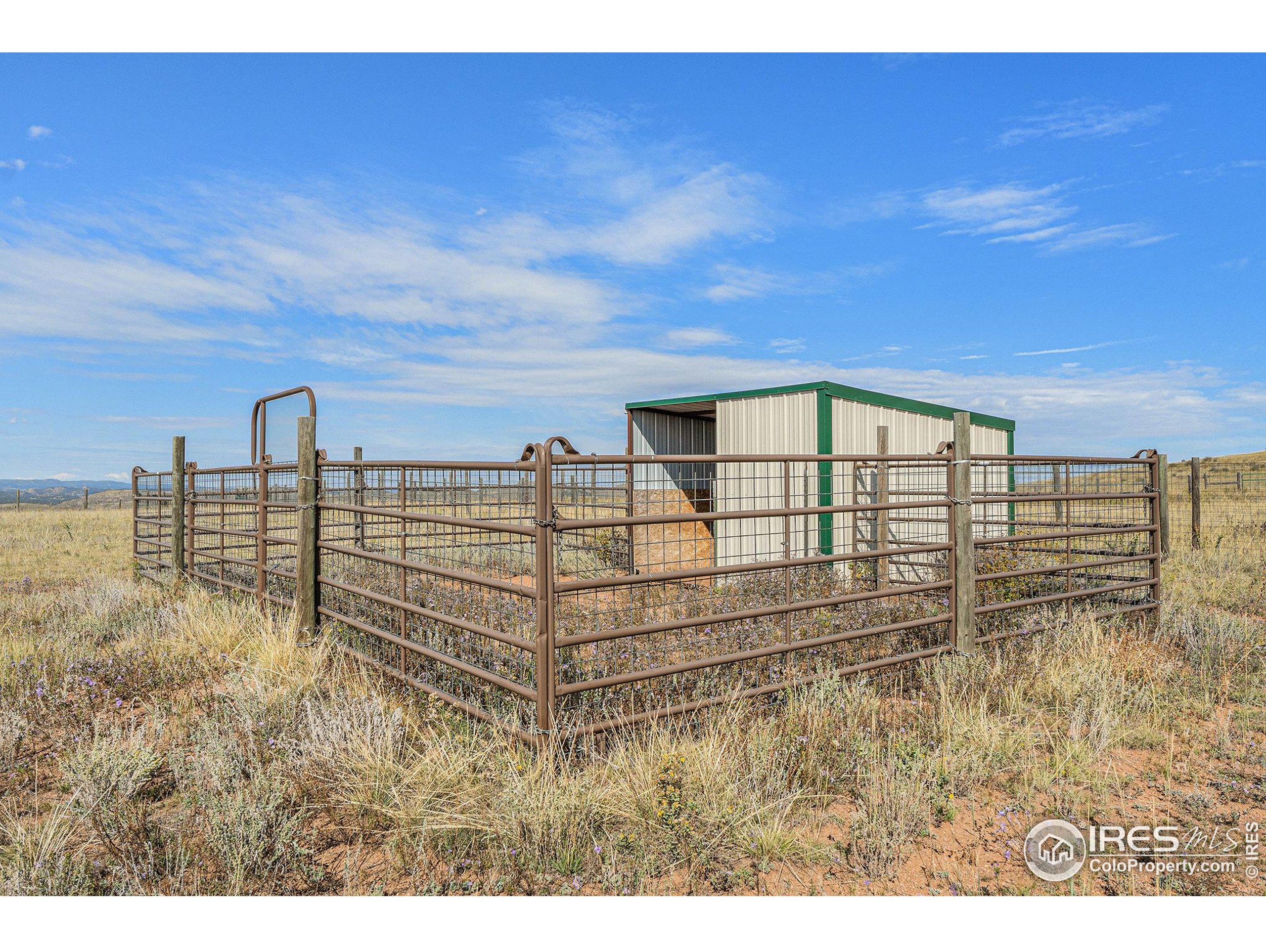 2052 Great Twins Road Livermore, CO 80536 - Photo 32 of 41