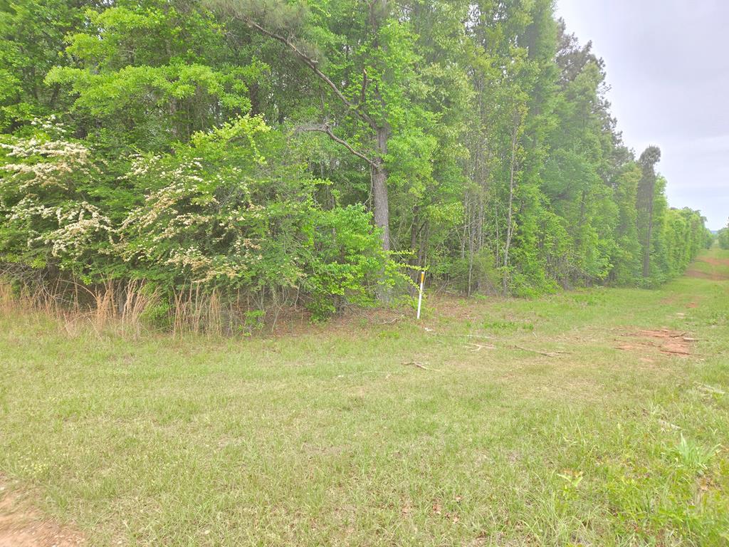 0 Oak Mountain Road Waverly Hall, GA 31831 - Photo 1 of 1 Main View