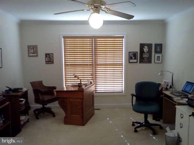 327 Wye Road Queenstown, MD 21658 - Photo 19 of 26 First floor den/office, could be nice bedroom