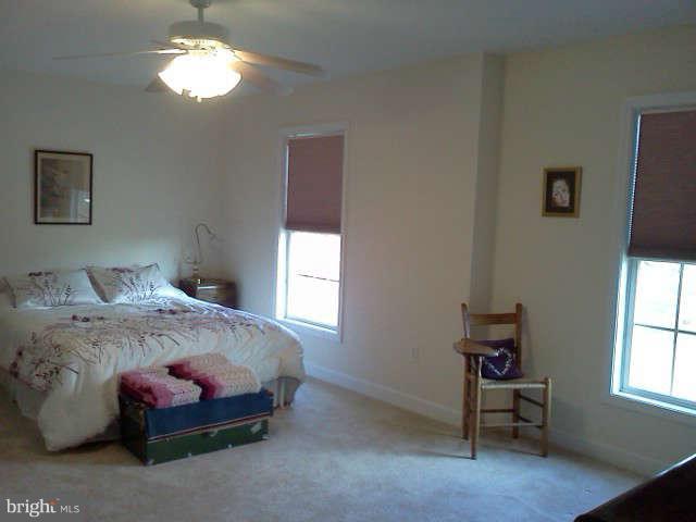 327 Wye Road Queenstown, MD 21658 - Photo 22 of 26 Bedroom