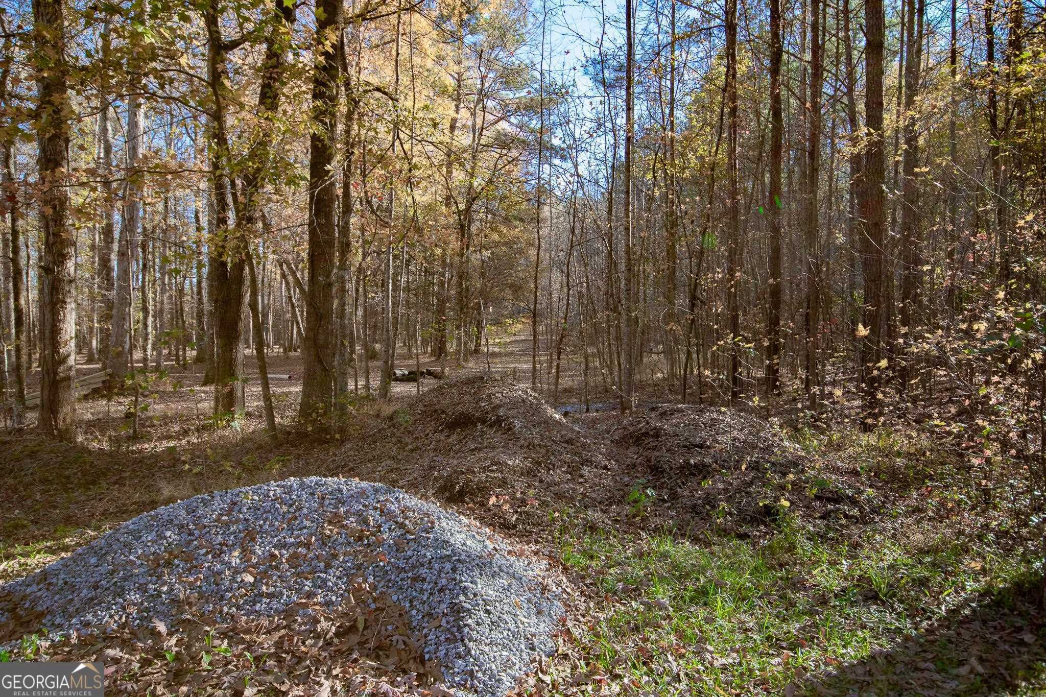 180 Stable Creek Road Fayetteville, GA 30215 - Photo 4 of 5