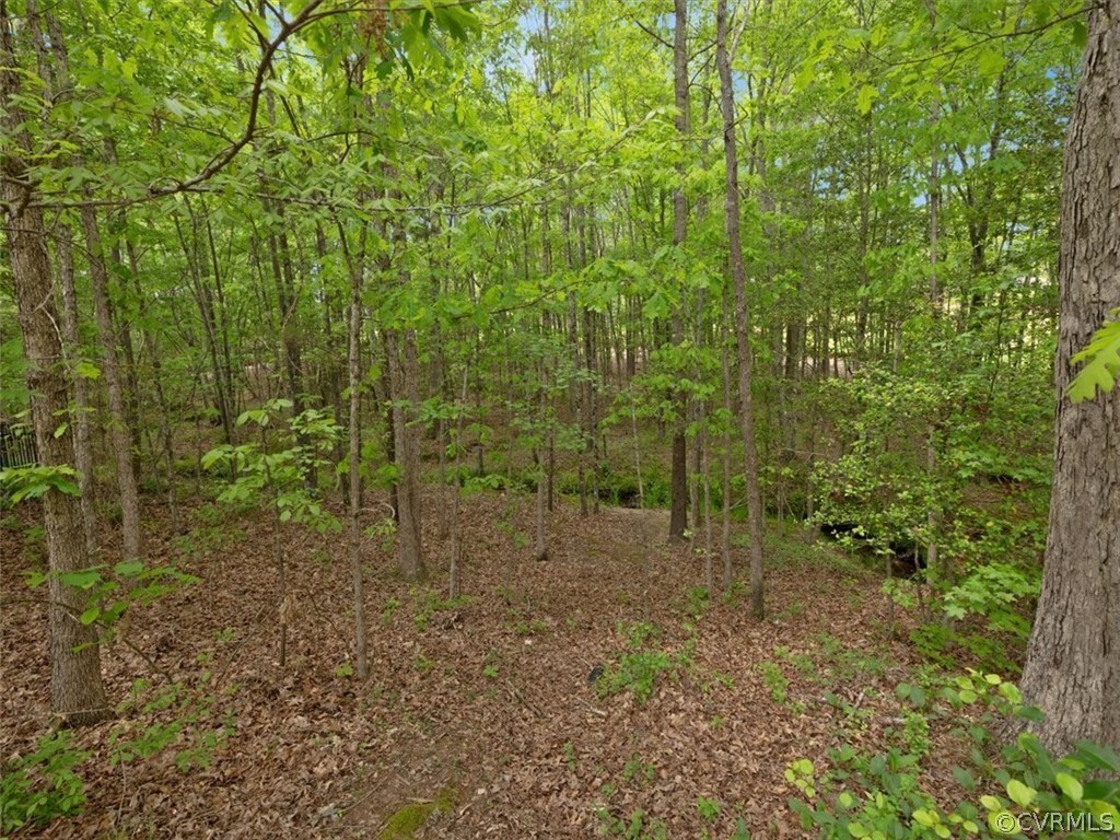 15212 Blackrail Road Chesterfield, VA 23832 - Photo 29 of 30 Gallery Image 29