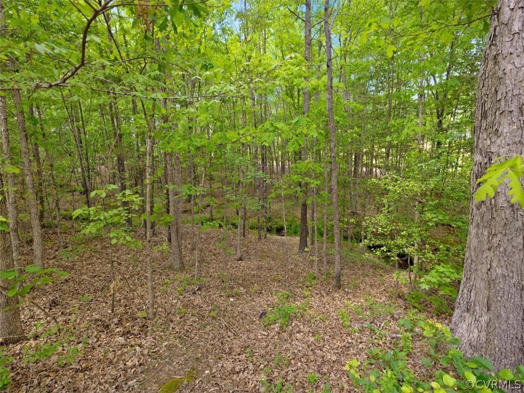 15212 Blackrail Road Chesterfield, VA 23832 - Photo 30 of 30 Gallery Image 30