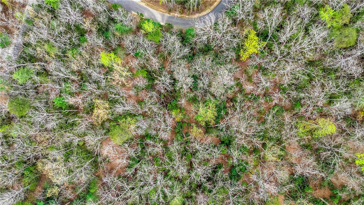37 Bay Ridge Drive Salem, SC 29676 - Photo 5 of 11